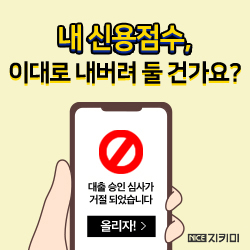 개인신용정보 종합관리 (NICE지키미) 서비스가 필요한 이유 5가지 3 신용점수