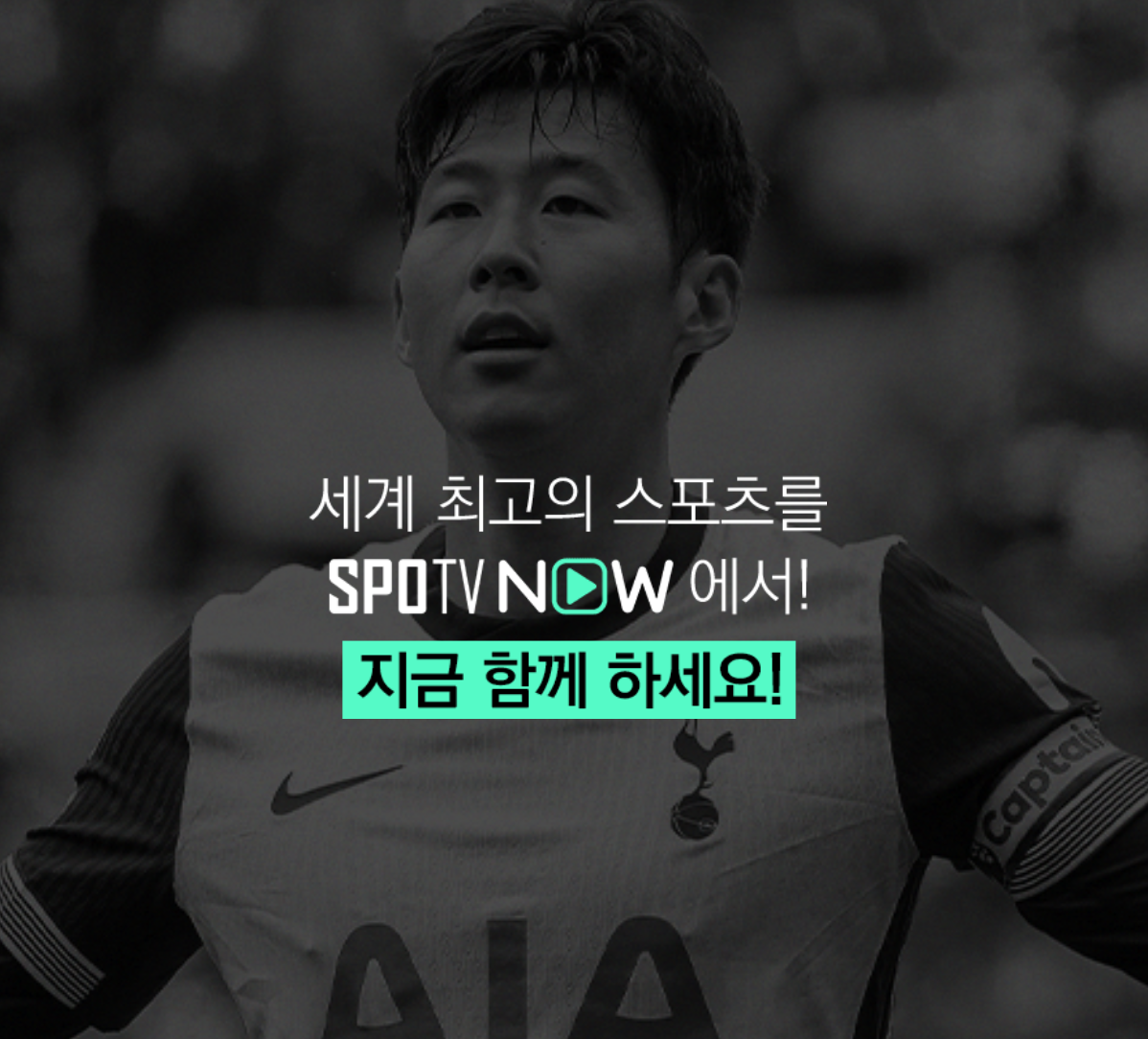 2025 스포티비 나우 EPL 중계 베이직·프리미엄 요금제 경기 중계권 결정적 차이 4 2025 06 04 오후 6.34.20
