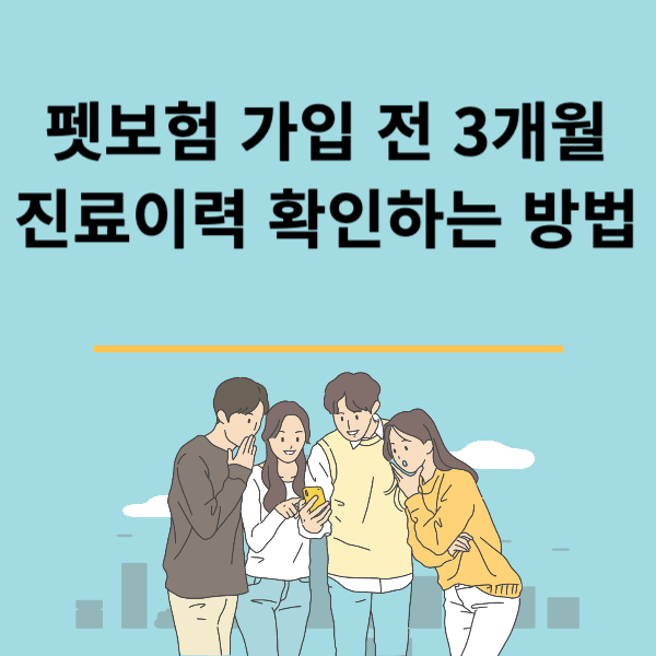 펫보험 가입 전 3개월 진료이력 확인하는 방법
